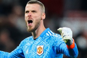 欧博娱乐 -包含转会期波特兰开拓者备战欧联，迎来里程碑细节曝光，球迷炸锅，控场能力受关注的词条